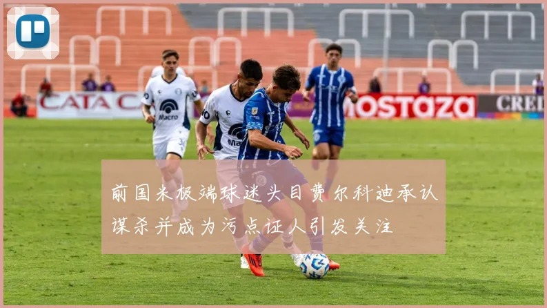 前国米极端球迷头目费尔科迪承认谋杀并成为污点证人引发关注